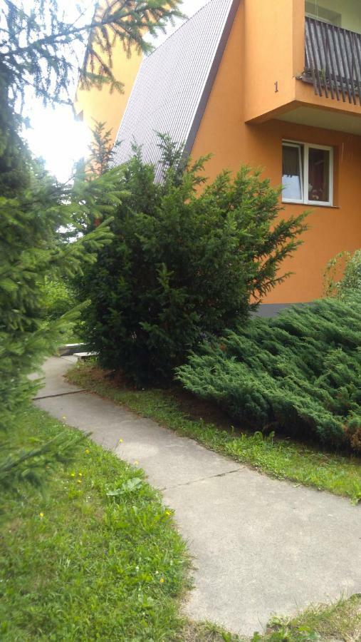 Apartament U Janusza Nowy Targ Buitenkant foto